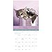 2018 Rachael Hale Cats Wall Calendar (Mead)