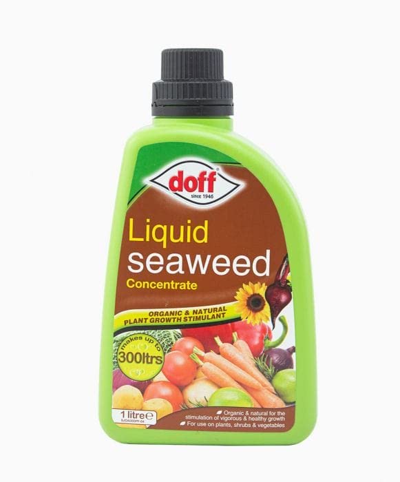 Doff 1L Liquid Seaweed Concentrated Multi-Purpose Feed, Multicoloured, F-JO-A00-DOF