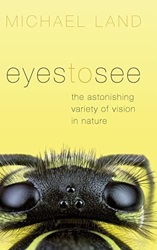 Vision Science: Photons to Phenomenology: 9780262161831: Medicine