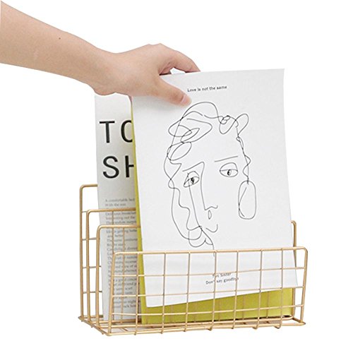 Fovolat | Nordic Style Grid Wrought Iron Newspapers and Periodicals Rack Book Magazine File Storage Rack for Home Office