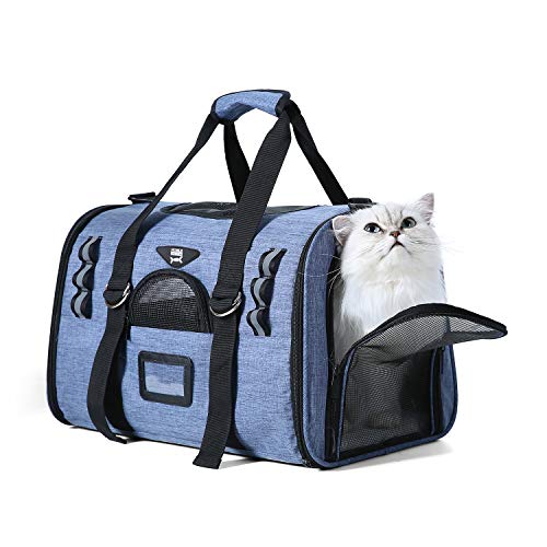 Softsided Cat Carrier
