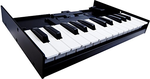 Roland K-25m Keyboard Dock for Boutique Sound Modules BUNDLED WITH CB-BRB1 Carrying Bag for Roland Boutique Instruments Blucoil 5-Ft MIDI Cable AND 5-Pack of Cable Ties - Thumbnail 2