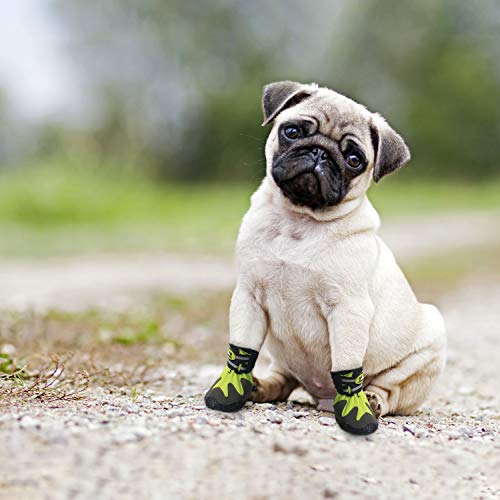 dog booties for walking