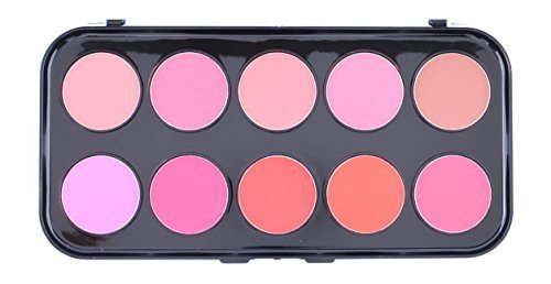 Beauty treats professional 10 matte blush palette