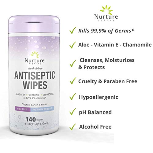 "Antibacterial Hand & Body Sanitizing Bathing Wipes (2 Canisters) 280