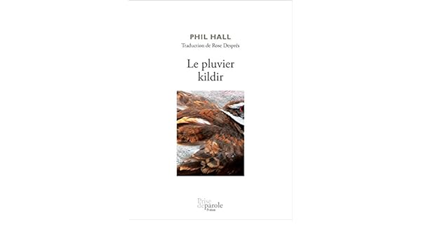 Amazoncom Le Pluvier Kildir French Edition Ebook Phil