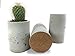 Concrete Succulent Planters / Air Plant Holders. Urba Planters. (set of 3) Natural gray.