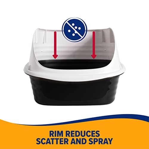 Petmate Arm & Hammer Rimmed Cat Litter Box with High Sides and Microban