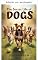 Livro A vida secreta dos cachorros (A vida secreta de...)