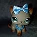 lps Short Hair Cat #391 lps Gray Cat with Blue Eyes with Accessories Drinks Bows Rare Figures Xmas Birthdays Gift