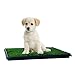 PETMAKER Puppy Potty Trainer - The Indoor Restroom for Pets 16 x 20 primary