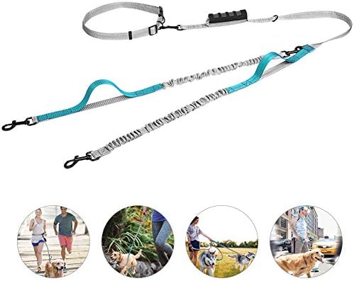 UgBaBa Hands Free Dog Leash for Walking Running Training Jogging,Heavy Duty Double Shock Absorbing Bungee Dog Leash Kit for 2 Dogs,Adjustable Waist Belt,Reflective, 3 Handles for Extra Control