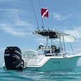 Rod Holder Boat Flag Pole With Dive Flag - Cool Water Products