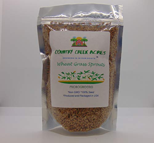 Wheatgrass, Microgreen, Sprouting, 6 OZ, Non GMO