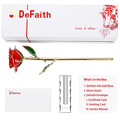 6 DEFAITH+Forever+Valentines+Anniversary+Proposal