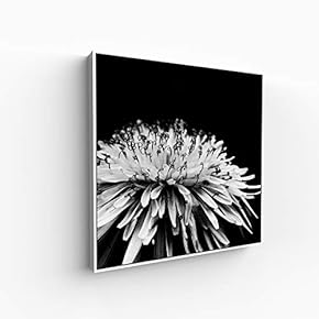 Canvas Wall Art for Living Room, Bedroom Monochrome Image Framed Canvas Prints for Home Decoration Ready to Hang - 16x16 inches