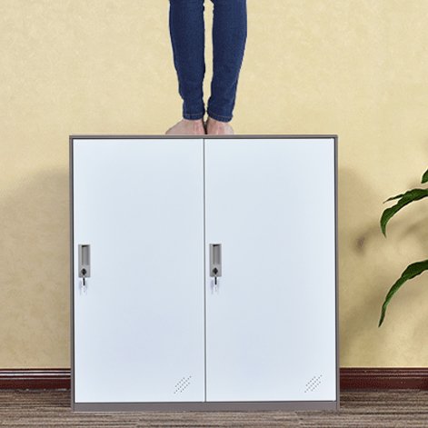 Small Office Metal Cabinet Locker with 3 Layer Each Door Storage for Cloth PC and Shoes,Changing Room Locker (2D)