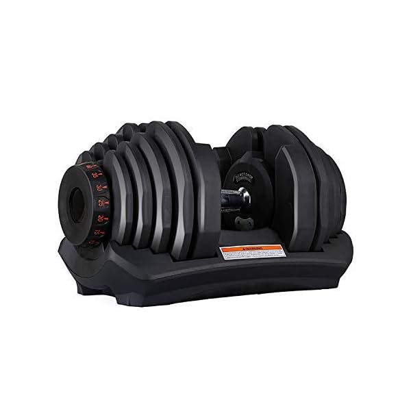 ypc adjustable dumbbells