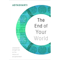 The End of Your World: Uncensored Straight Talk on the Nature of Enlightenment