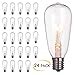 Brightown 24-Pack Edison Replacement Light Bulbs,7W E17 Screw Base ST40 Replacement Clear Glass Light Bulbs for Outdoor Patio ST40 String Lights, Warm White