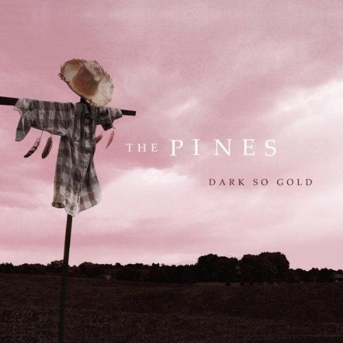 Cover of Dark So Gold