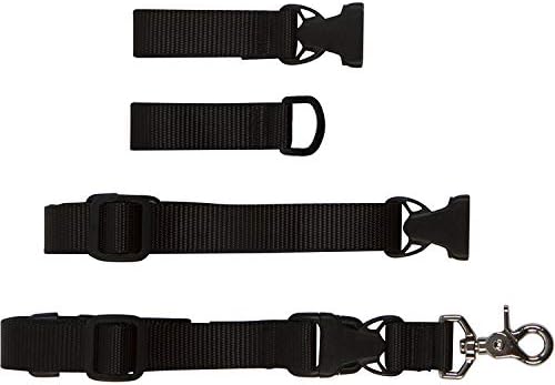 the buddy system leash