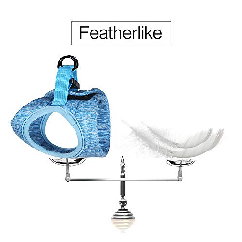 Kitten Cat Harness and Leash Set Ultra-Light Kitten Collar Soft and Comfortable Cat Walking Jacket with Running Cushioning and Anti-Escape Suitable for Puppies Rabbits with Cationic Fabric (M, Blue)