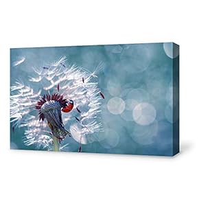 Canvas Wall Art for Living Room,Bedroom Home Artwork Paintings Dandelion Ready to Hang - 12x18 inches