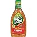 Wish-Bone Fat Free Italian Dressing, 15 FL OZ