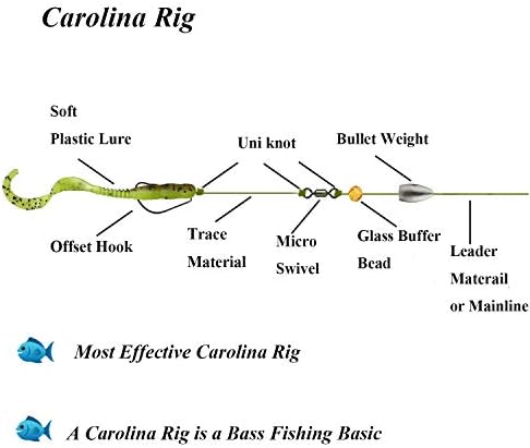 carolina rig