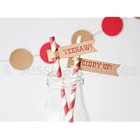 Paper Straw Flags - Cowboy Party - Drinking Straws - Western Country Birthday Party Decor - Western Party