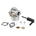 Savior 798653 Carburetor for Briggs & Stratton 791077 790290 693865 697354 795069 698860 698859 696981 694508 790182 790180 591299 798650 Carb
