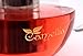 Camellia Teapot with Removable Stainless Steel Infuser, Borosilicate Glass, Loose Leaf Tea Kettle Stove top Safe - Holds 5 Cups 40 Ounce 1200ml