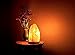 Airblasters Crystalman Natural Himalayan Salt Lamp 8-11lb,around 9