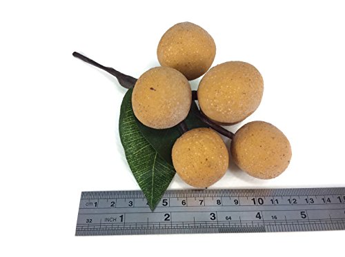 perfect2desire Longan Artificial Fruit Lifelike Simulation Leaves Faux Fake Fruit Home Kitchen Cabinet Decoration Realistic Clay Assortment - Thumbnail 3