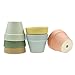 Succulent Planter,Indoor Small Mini Ceramic Plant Pots with Drainage for Cactus Set of 6