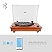 HOFEINZ Vintage Style Natural Wood Belt Driven Turntable with 3 Speed Built in Stereo Speakers, Bluetooth and Vinyl-to-MP3 Recording