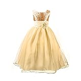 Acediscoball Little Girls'Flower Party Wedding Gown Bridesmaid Tulle Ruffle Dress Size M(5)/4-5years Golden