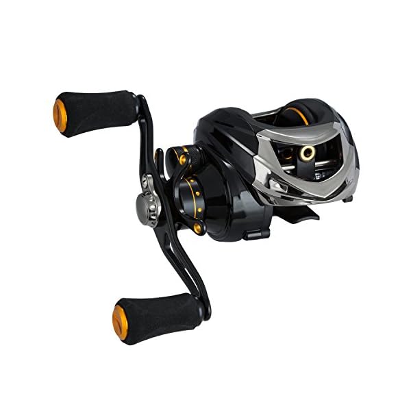 Piscifun Low Profile Baitcasting Fishing Reel 13 + 1 Shielded Bearings