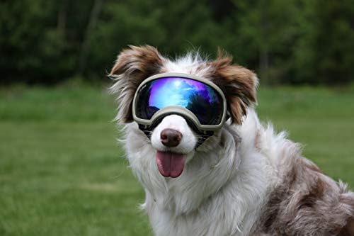 Rex Specs Dog Goggles - Eye Protection for The Active Dog