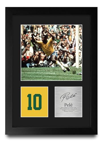 Portrait (A4 Framed) Pele