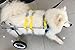 Adjustable Dog Wheelchair (L Size), for Big Dog, Hip Height 20