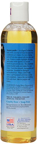 Bio-Groom DBB20012 Protein Lanolin Tearless Concentrate Small Pet Shampoo, 12-Ounce