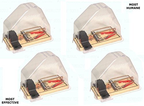 NO SUFFERING - NO ESCAPE - 4 MERCY KILL TRAPS - MOST HUMANE - MOST EFFECTIVE MOUSE TRAP - REUSABLE - NON TOXIC - READ BELOW NO SUFFERING - NO ESCAPE - 4 MERCY KILL TRAPS - MOST HUMANE - MOST EFFECTIVE MOUSE TRAP - REUSABLE - NON TOXIC - READ BELOW