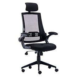 KADIRYA High Back Ergonomic Mesh Office Chair with