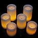 Flameless Candles -Battery Candles-Battery Powered Classic Pillar Optical Fiber Wick Real Wax Candle Set (3