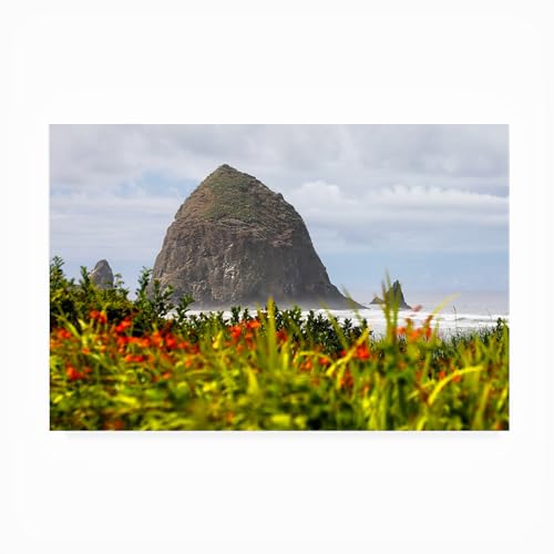 Trademark Fine Art Outdoor Canvas Art - Mich Catanzaro 'Haystack Rock' Wall Art…