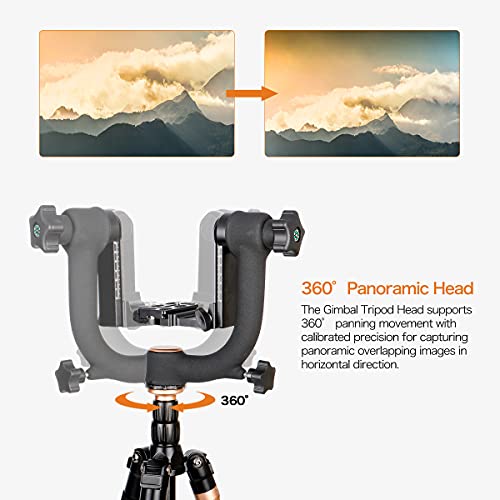 Koolehaoda Q45 Gimbal Head Heavy Duty Metal Gimbal Tripod Head with
