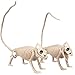 SCS Direct Halloween Lizard Skeletons Set of 2-15