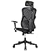 Argomax Ergonomic Mesh Office Chair High Back Swivel Desk Chair Adjustable Headrest Armrest Tilt Back and Tension